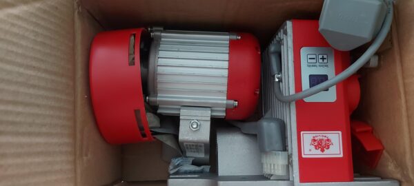 Two Lion Servo Motor